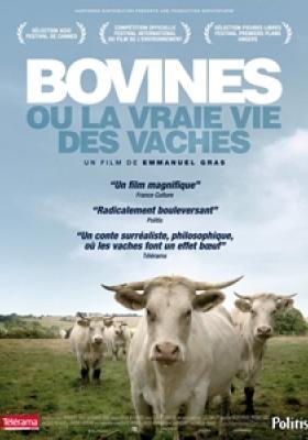 Bovines