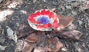 un champignon avec des pétales sur le dessus