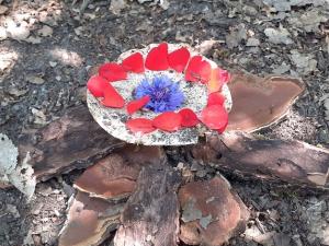 un champignon avec des pétales sur le dessus