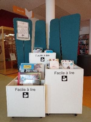 Bacs de présentation documents en Facile à Lire