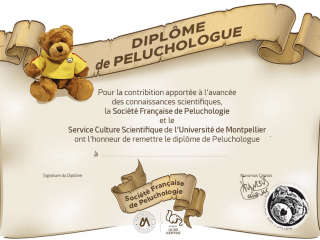 peluchologie4