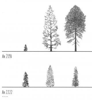 Agrandir l’image