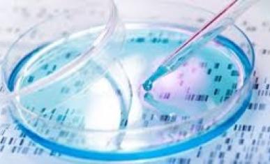La SF l’avait prédit, la science le réalise