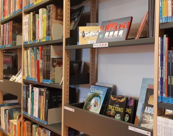 Livres d'artistes